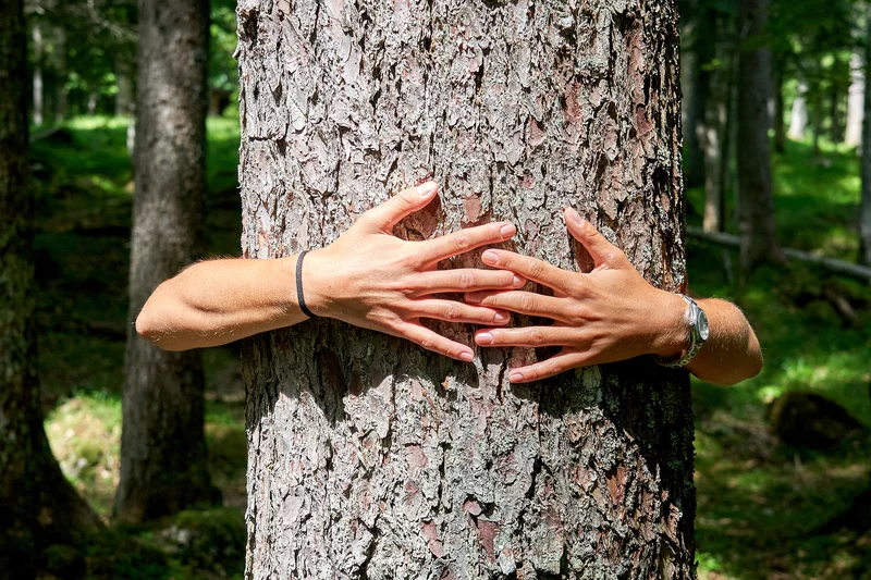 dolomiti wellness festival